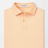 Peter Millar Tesseract Youth Performance Jersey Polo Wholesale